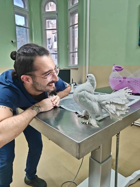 Exotic Vet Center - Spital Veterinar non-stop.