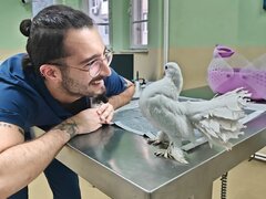 Exotic Vet Center - Spital Veterinar non-stop