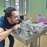 Exotic Vet Center - Spital Veterinar non-stop